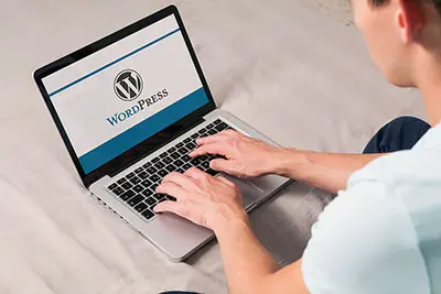 wordpress ecommerce