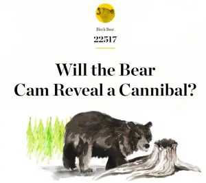 national geographic animation bear